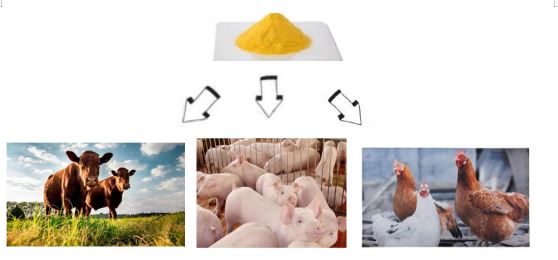 The usage of Feed Grade Folic Acid
